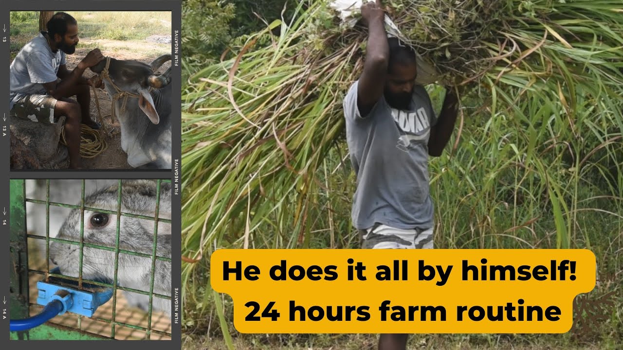 A day in a (farm) life: Sridhar - what does a day look like in a Tamilian village
