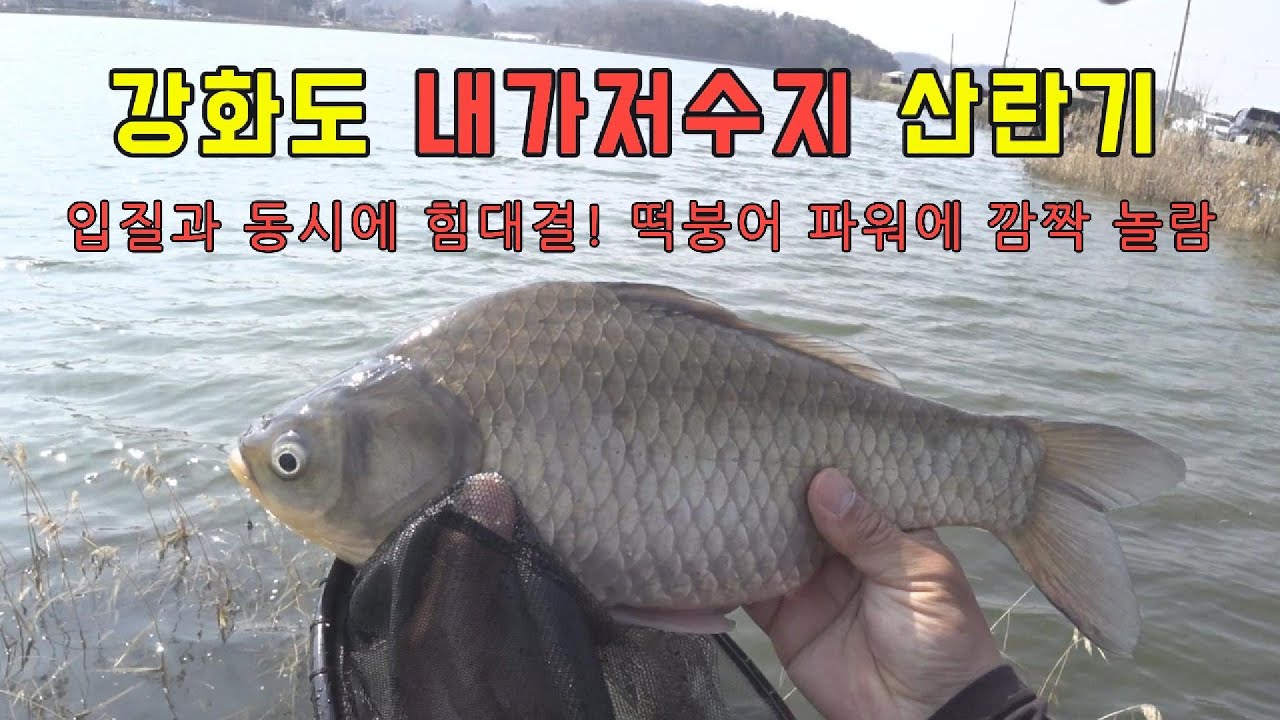 강화도 내가저수지 낚시, 산란기 괴물 떡붕어 ON!