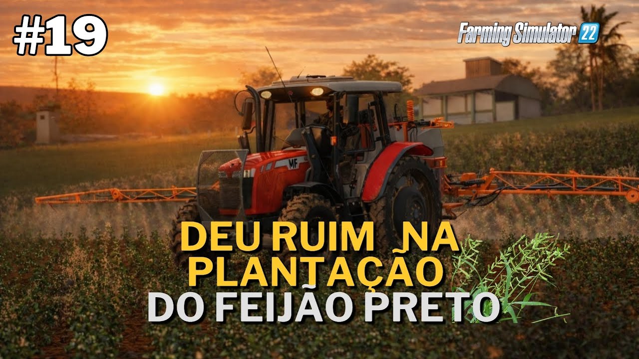 Deu ruim na plantação do Feijão │Farming Simulator 22 Fazenda Madureiro #19