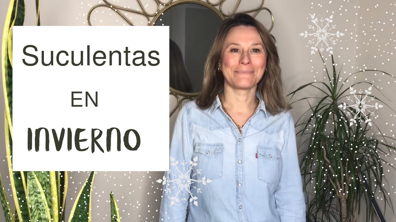 Cómo cuido las SUCULENTAS y CACTUS en INVIERNO ❄️ En el Invernadero / Greenhouse