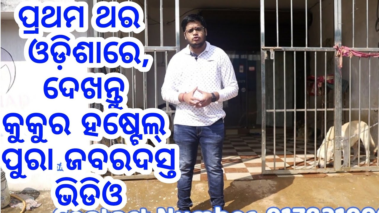 Best Dog Hostel For Dog in Odisha Bhubaneswar, Mad for Dogs Hostel first time in Odisha,dog boarding