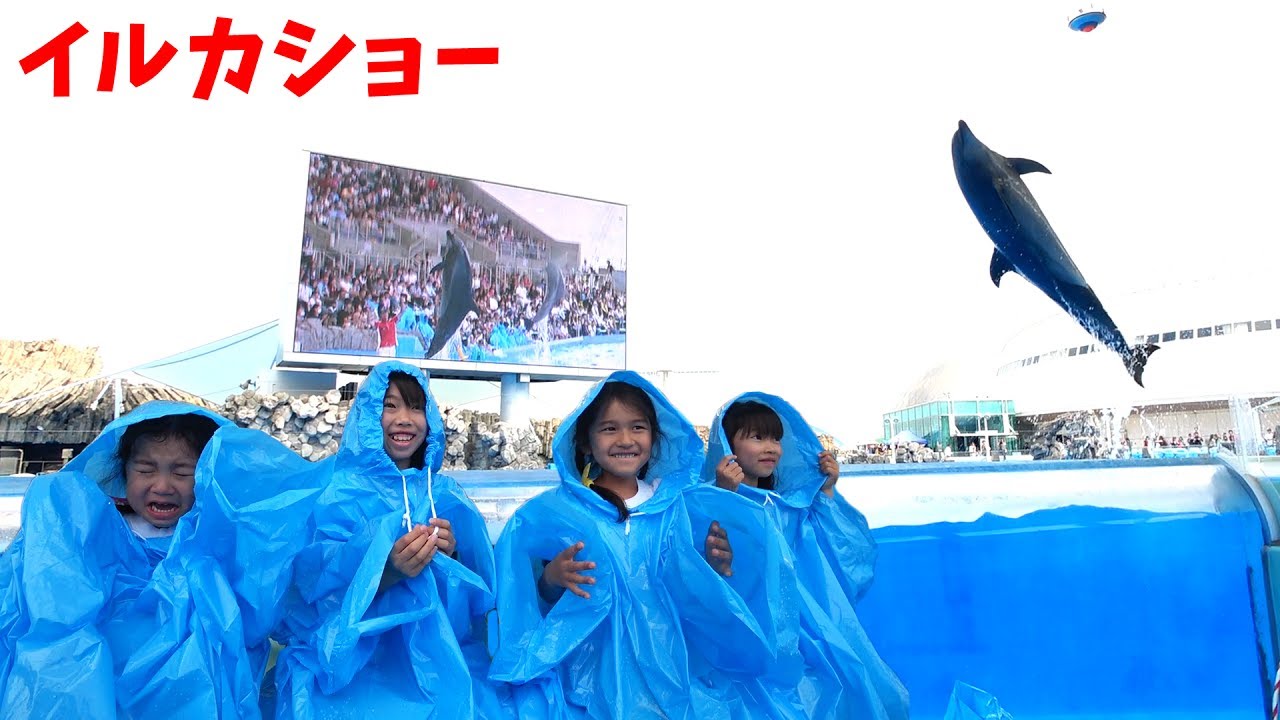 前列危険！イルカショーでびしょ濡れに＞＜にゃーにゃちゃんねるさんと女子5人でデート♡himawari-CH