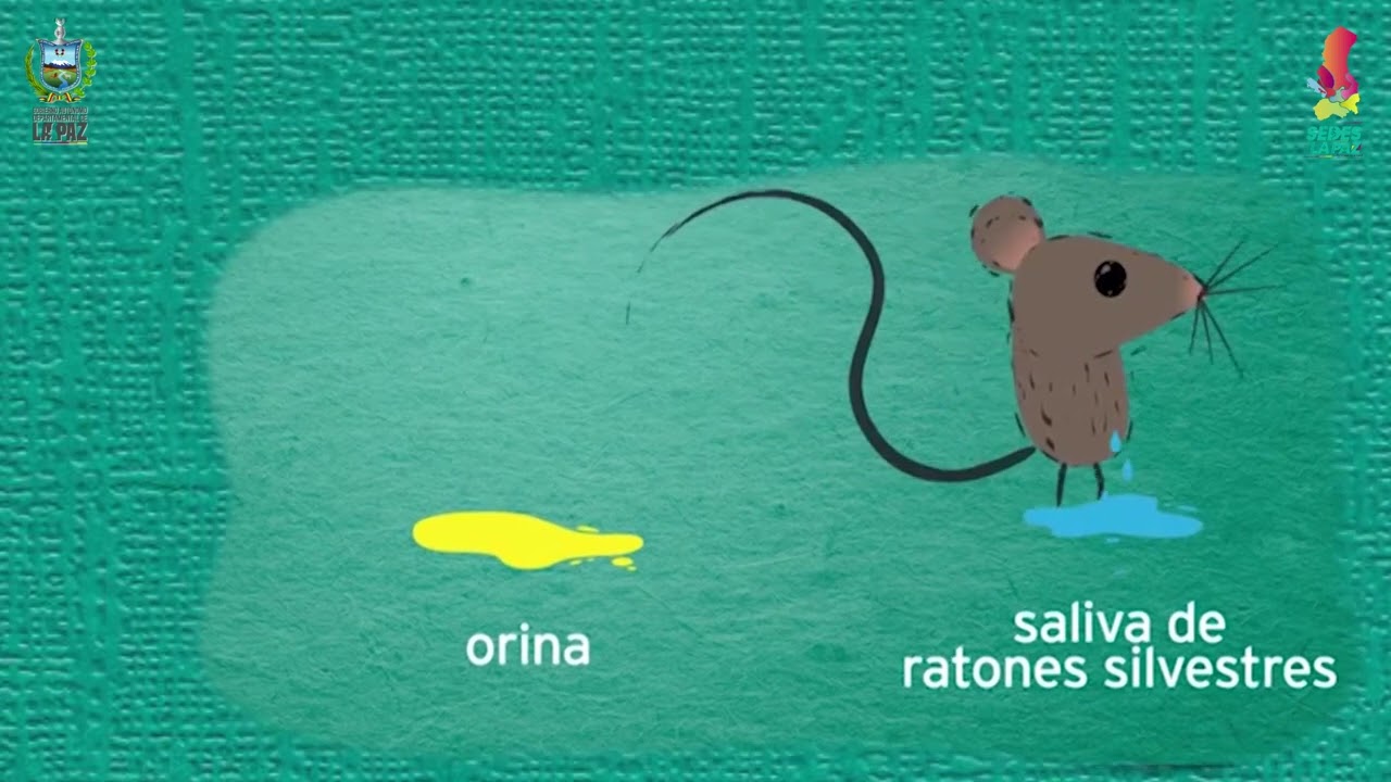 HANTAVIRUS