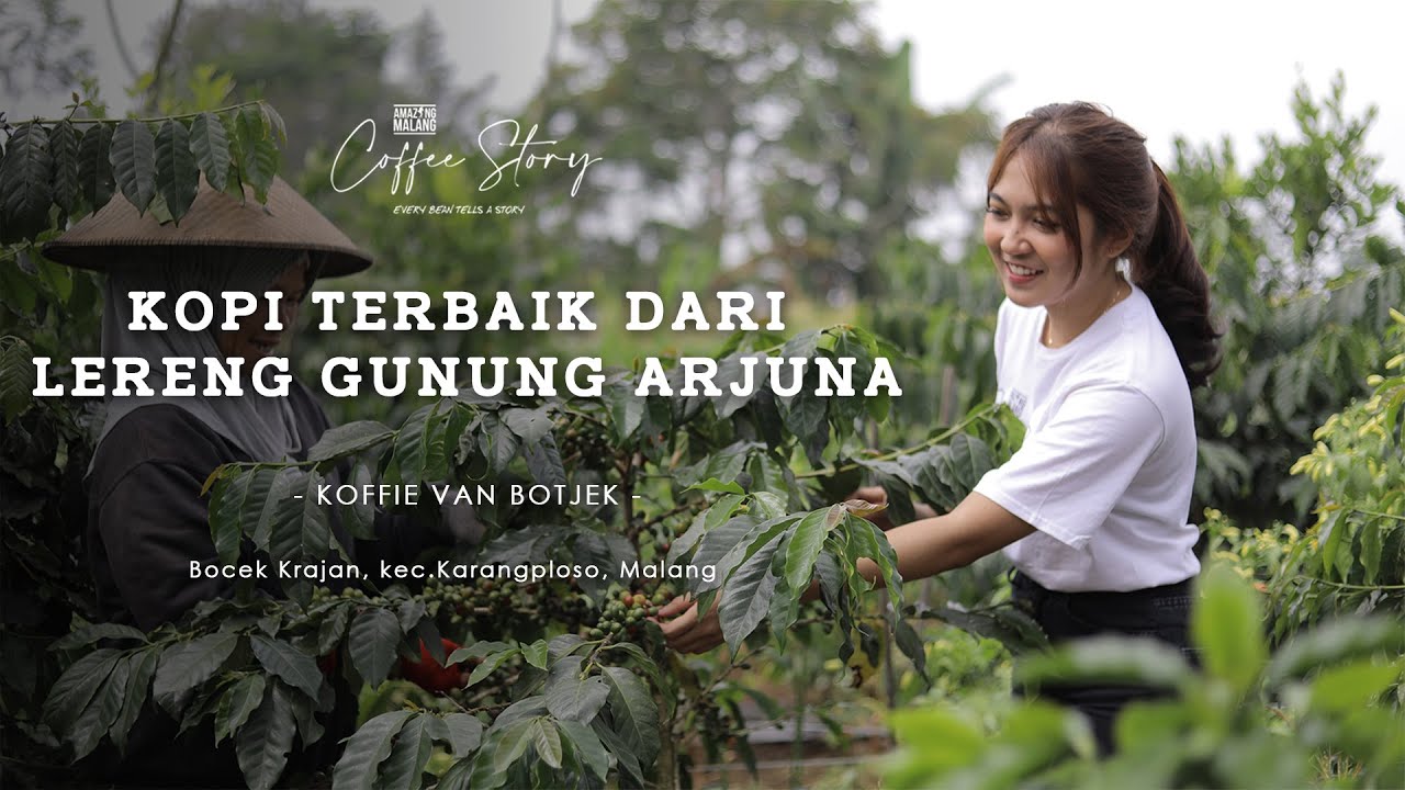 Explore Kebun Kopi Van Botjek, Kopi Lereng Gunung Arjuno! | Coffee Story eps-29 Kuliner Malang