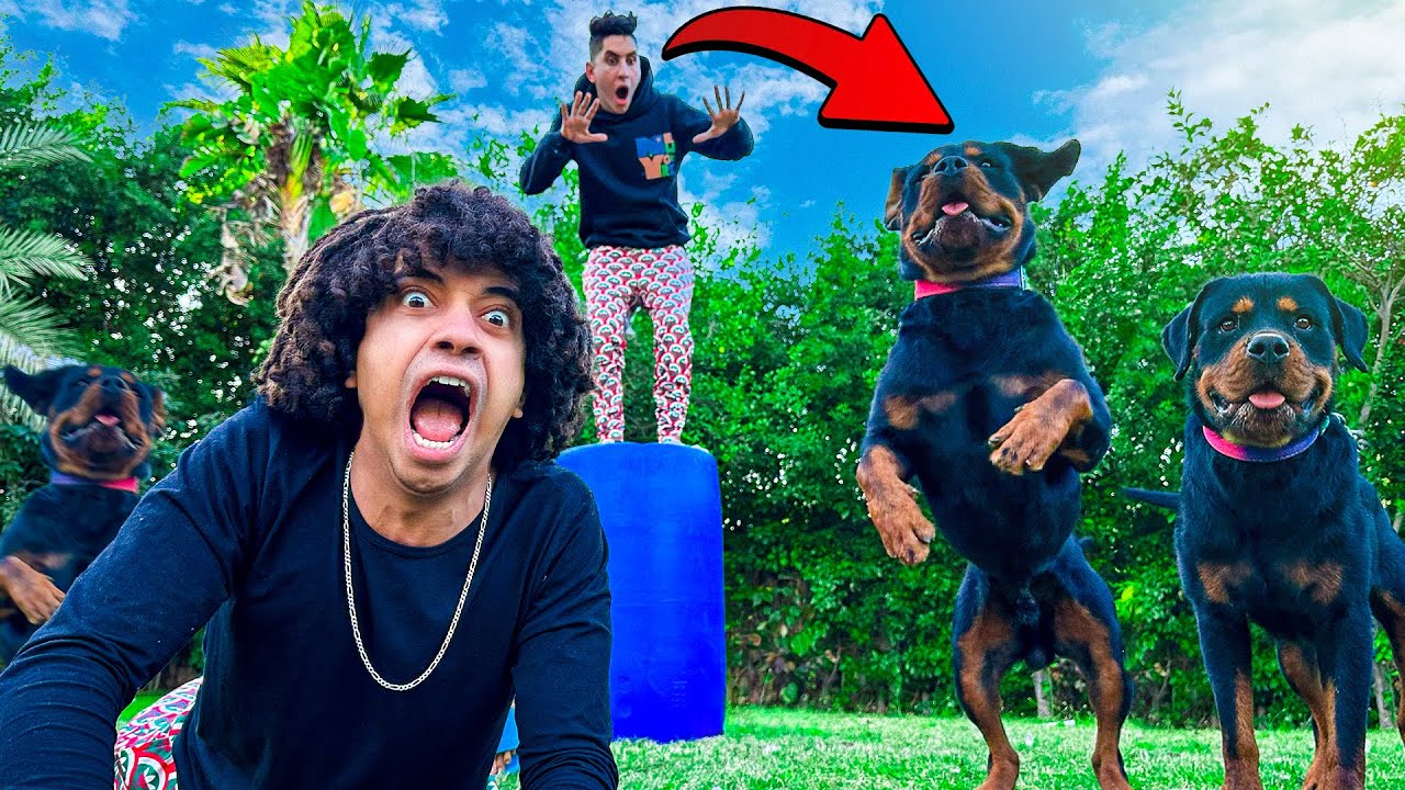 اسرع واحد يربط الكلب الشرس يكسب 10,000 دولار 😱🐕 | Fastest one ties the angry dog wins $10,000