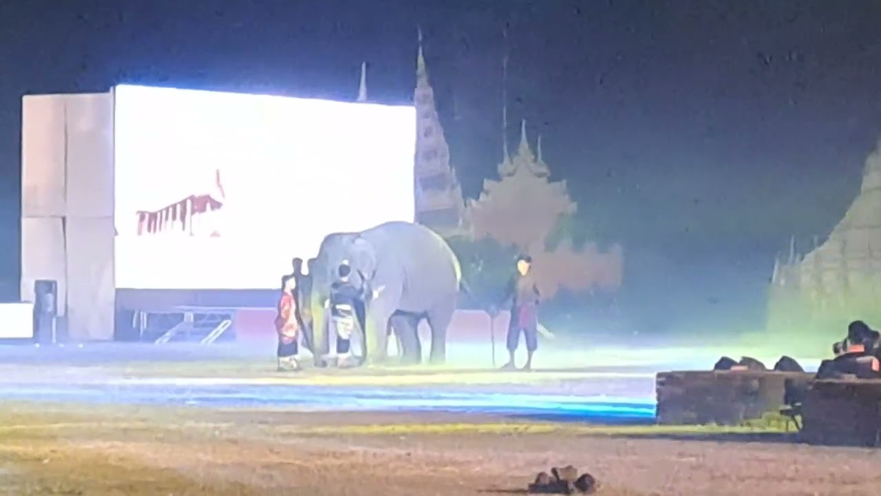 พลายดาวมงคลเล่นเป็นช้างก้านกล้วย งานแสดงแสง สี เสียง เทอดพระเกียรติสมเด็จพระนเรศวร จ.พิษณุโลกปี2568