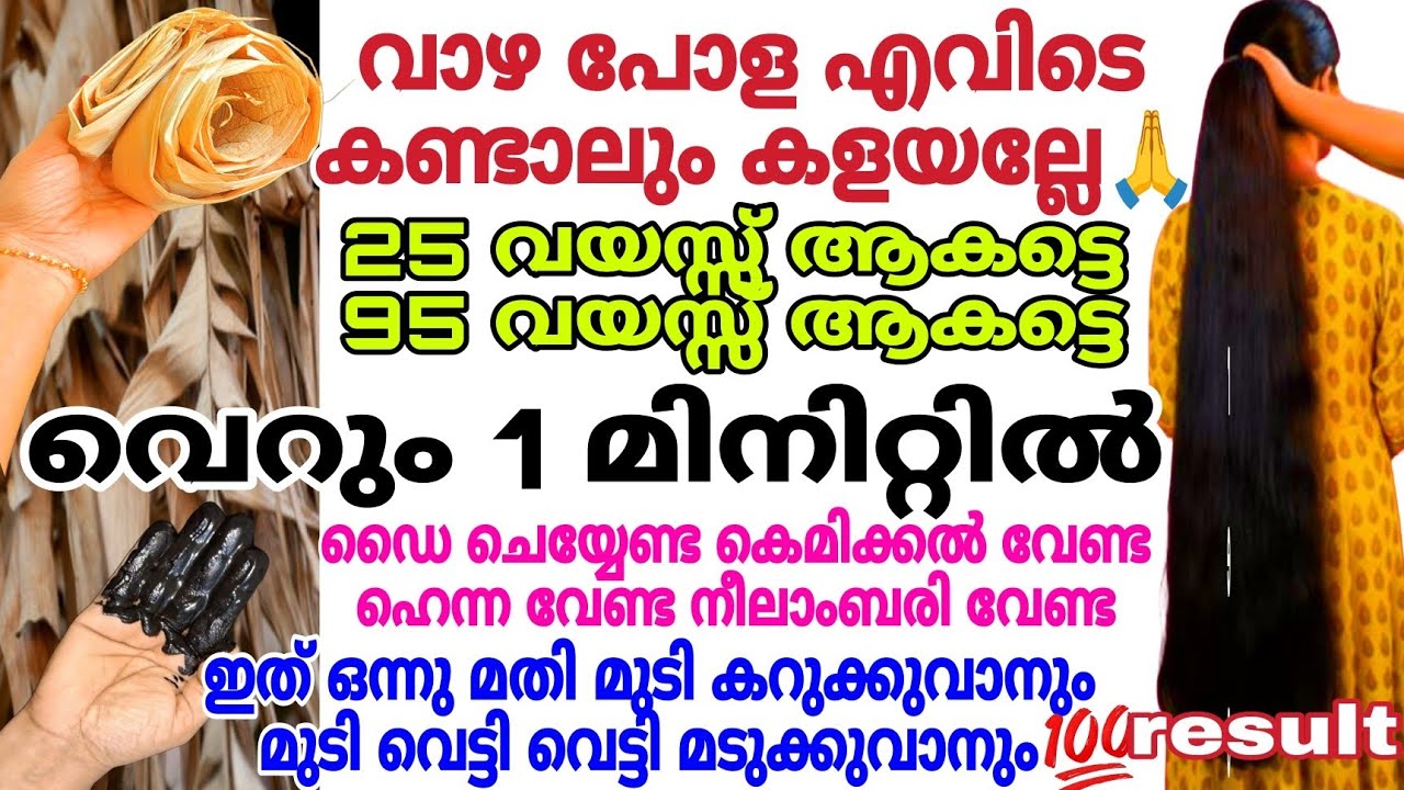 വാഴ പോള വെറുതെ ഉണക്കി കളയല്ലേ| മുടിയുടെ 100 പ്രശ്നങ്ങൾക്ക് ഒരു പരിഹാരം | Natural Hairdye 100% #hair 