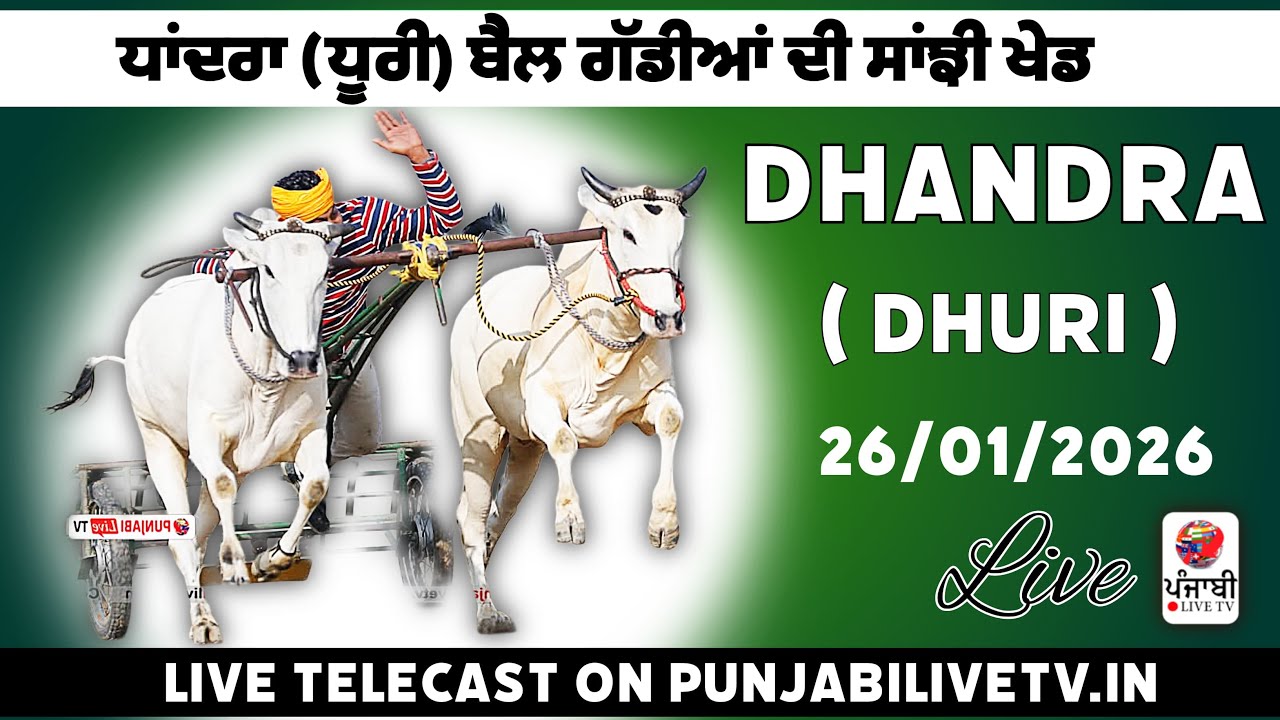 🔴[Live] Dhandra (Dhuri) Ox Race 26 Jan 2026