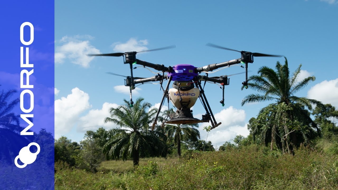 MORFO's 4-Step solution for large-scale tropical reforestation