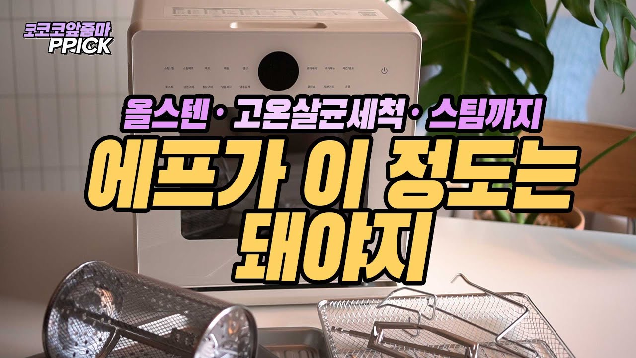 에어프라이어 딱 정해드립니다 👍🏻찜도되고 에프도되고 청소도하고! / 디온리찜기, 디온리에프