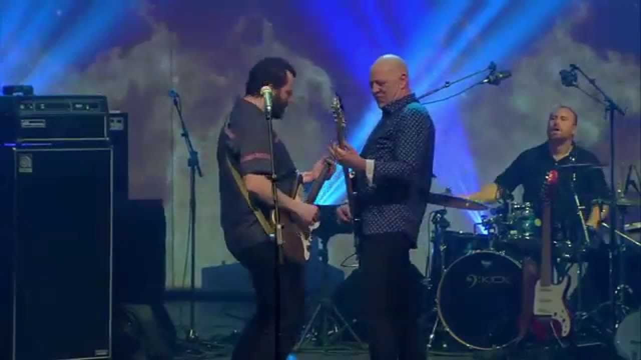 Fred And The Healers :  The Best Thing
