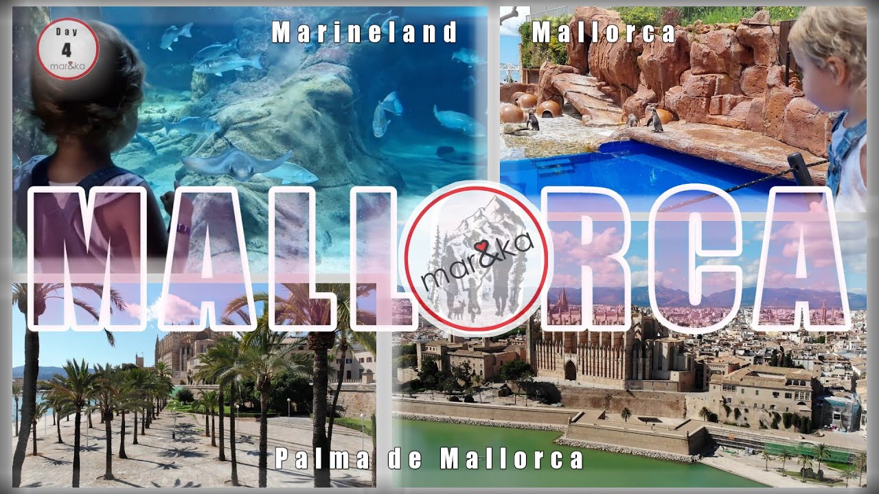 Marineland, Palma de Mallorca i dzień pełen atrakcji 🐬🏰 | dzień 4 |  Majorka 🇪🇸 Hiszpania