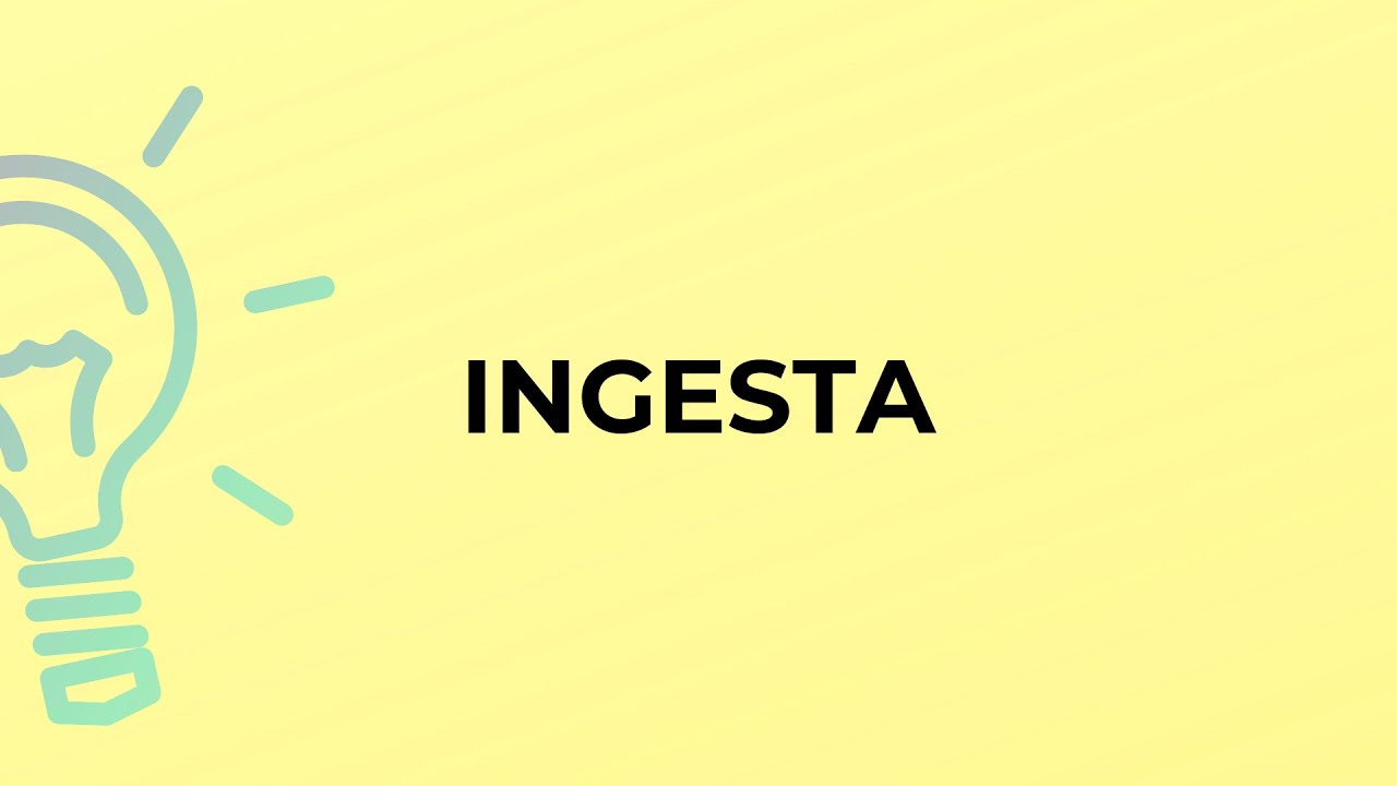 What is the meaning of the word INGESTA?