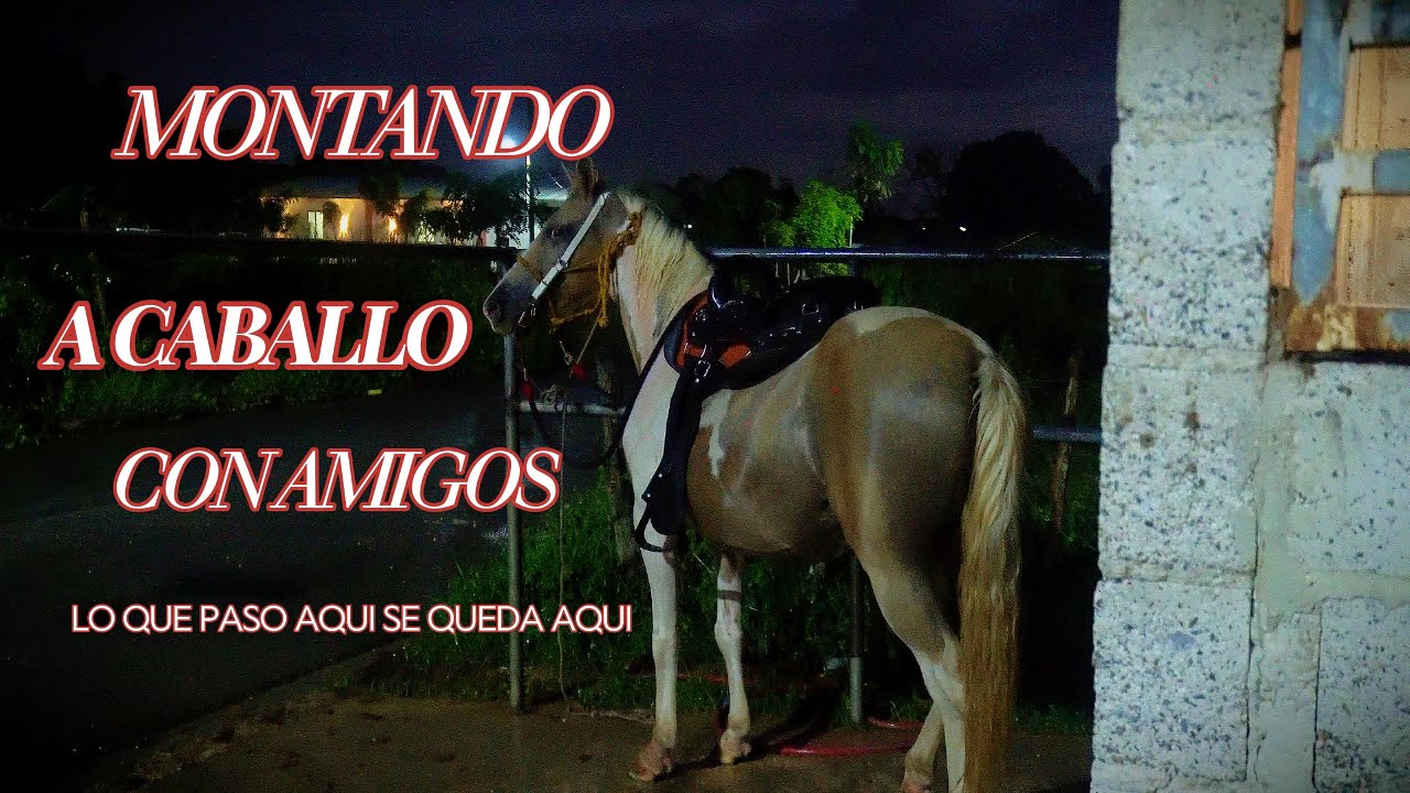 Una Cabalgata Bajo la Lluvia: Aventura Nocturna en el Campo
