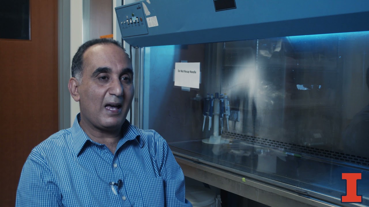 BioNanotechnology Lab Tour