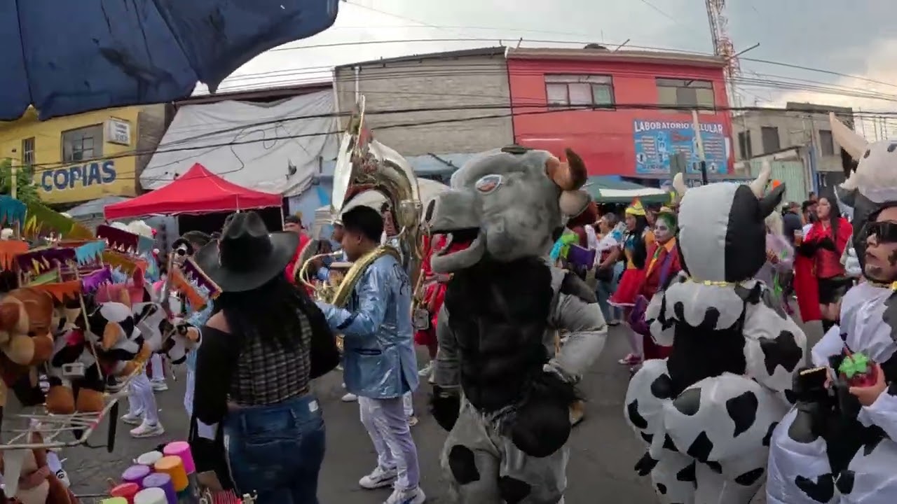 Disfraces los Morenos 2026 Carnaval San Sebastian Tecoloxtitlan