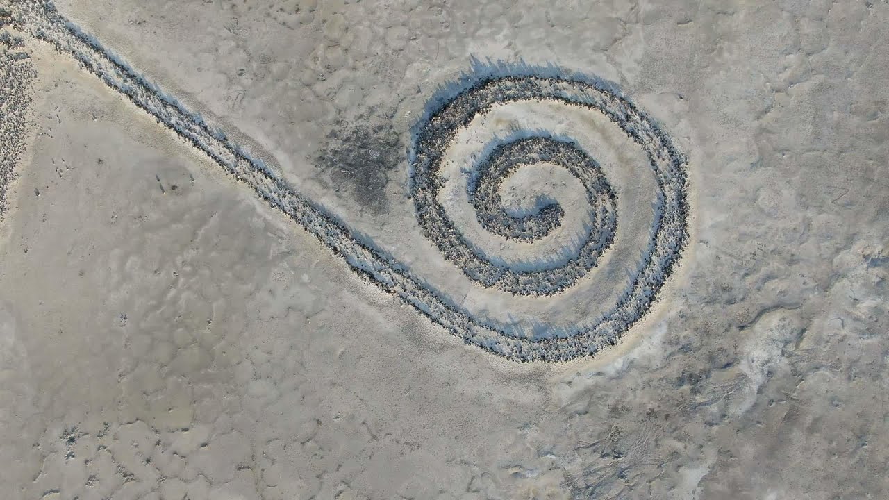 Land Art, Arte contemporânea, Ep. 2