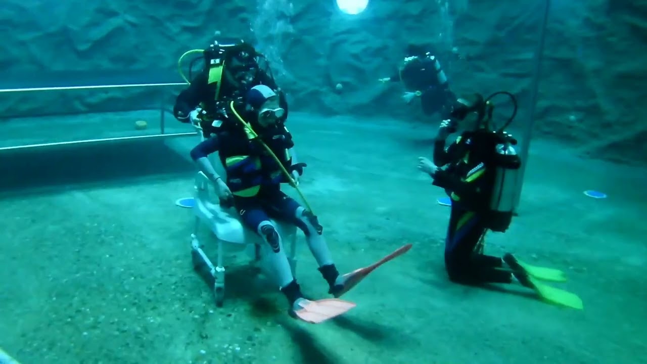 DiveWorld Enschede 24.02.2024 Basic Diver