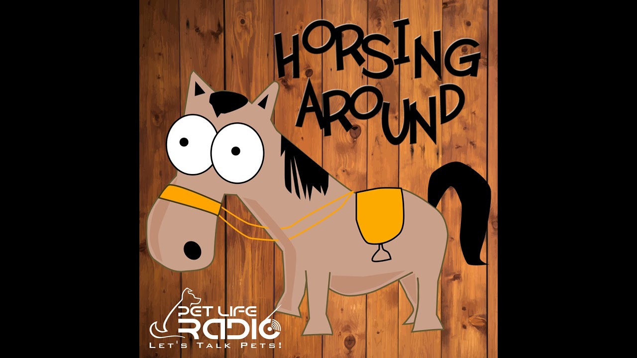 PetLifeRadio.com - Horsing Around - Episode 22 Finding Yourself Through Horses