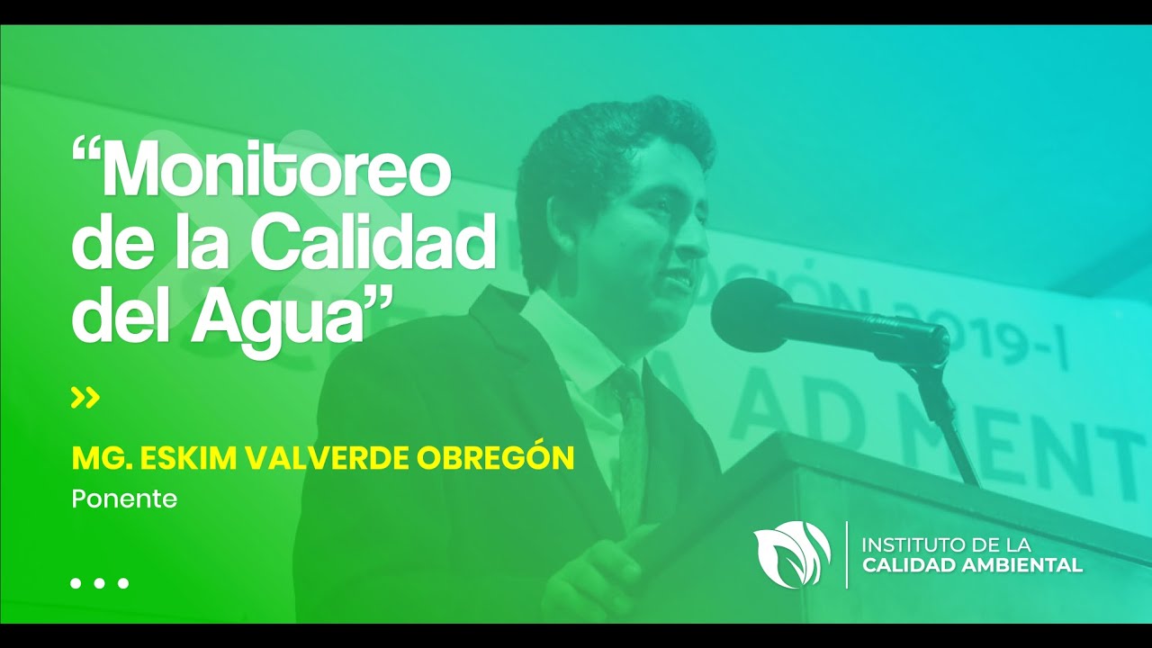 Conferencia Virtual 