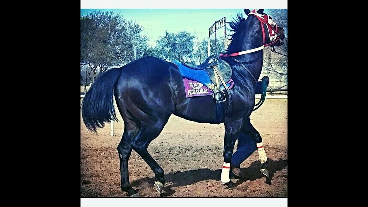 EL APÓSTOL - AARON CHAVEZ