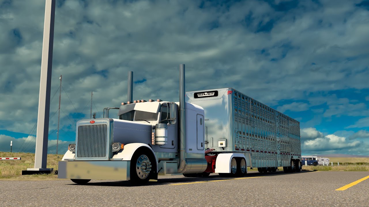 DJ'S Livestock, Custom 06 Peterbilt 389🔥