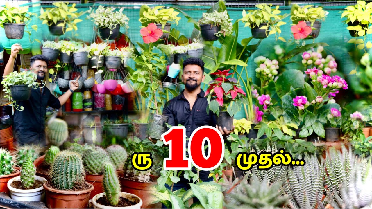 ரு10 முதல்..Nursery Garden and Pot Shop / Cheapest Nursery Garden in Chennai / Nanga Romba Busy