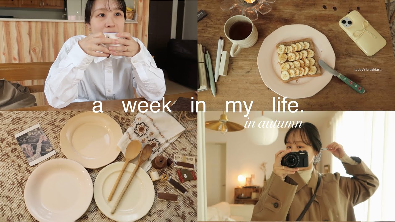 Japan diaries🕊️🇯🇵 new journaling notebooks, muji haul ,　flea market in Tokyo