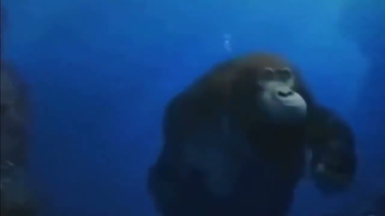 Aquatic Ambience (DKC) Slowed+Reverb