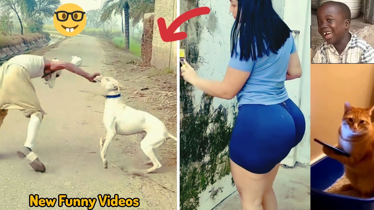Funny videos try not to laugh (p3) 😂😂 Funniest Videos in the World 