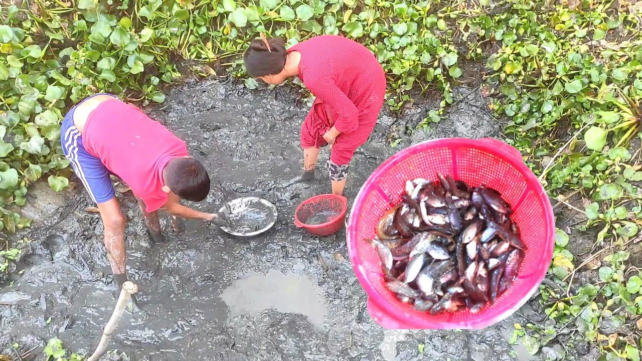 পুজার আজ অনেক মাছ ধরলো 🦈 simple village life