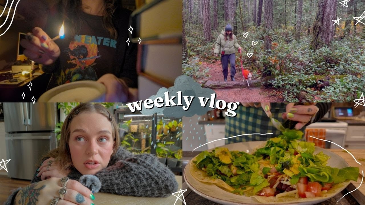 home alone during the cyclone 🌪️⛈️  an early weekly vlog 🖤