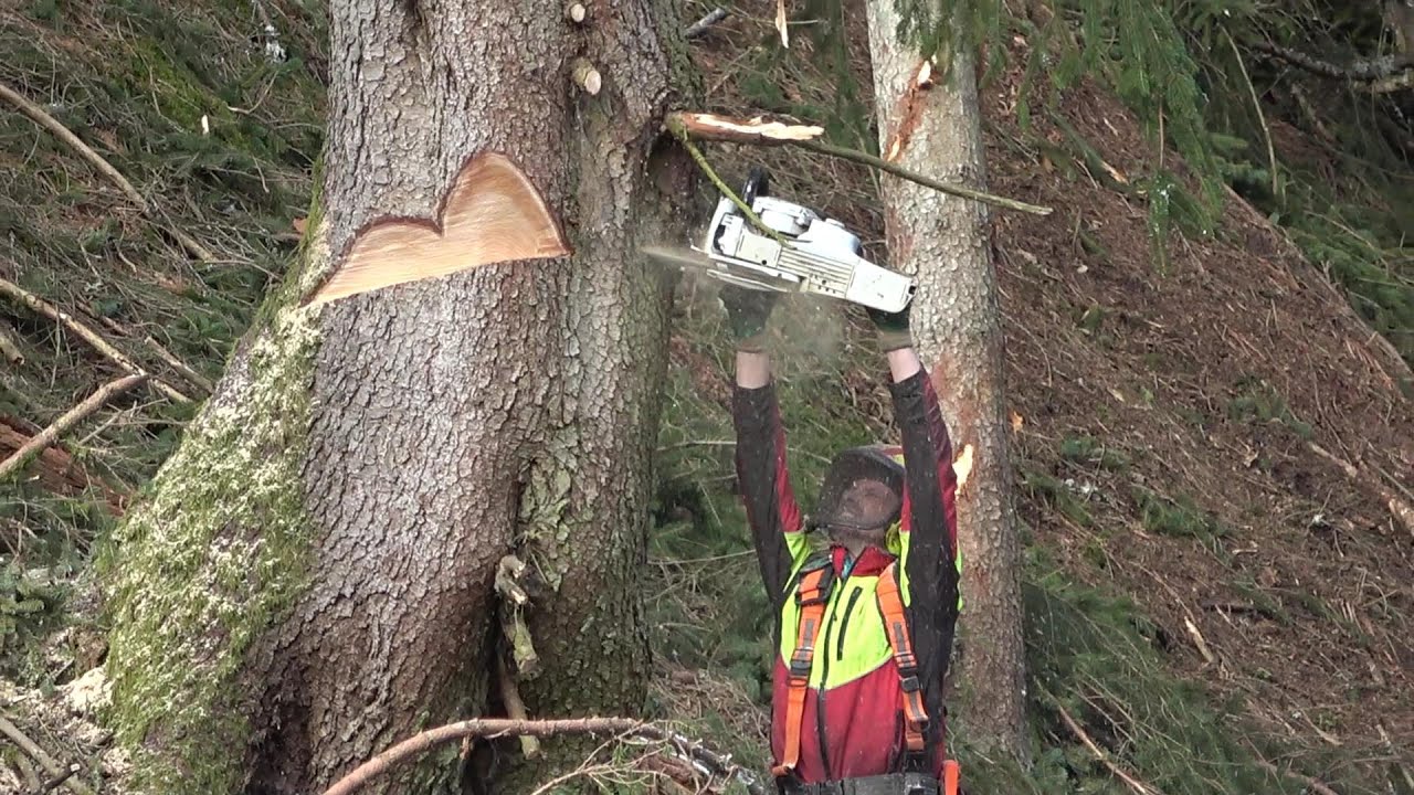 🌲 POWERCUTTING - 500er Heinzi -  Ponsse Bear - Verstärkung ist da - KUBIKFABRIK 🌲 Nettes Gelände