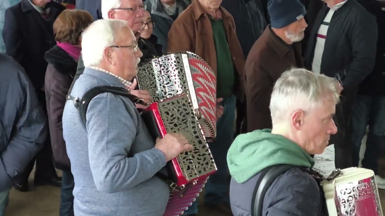 tarde de concertinas em vila das caldas das taipas
