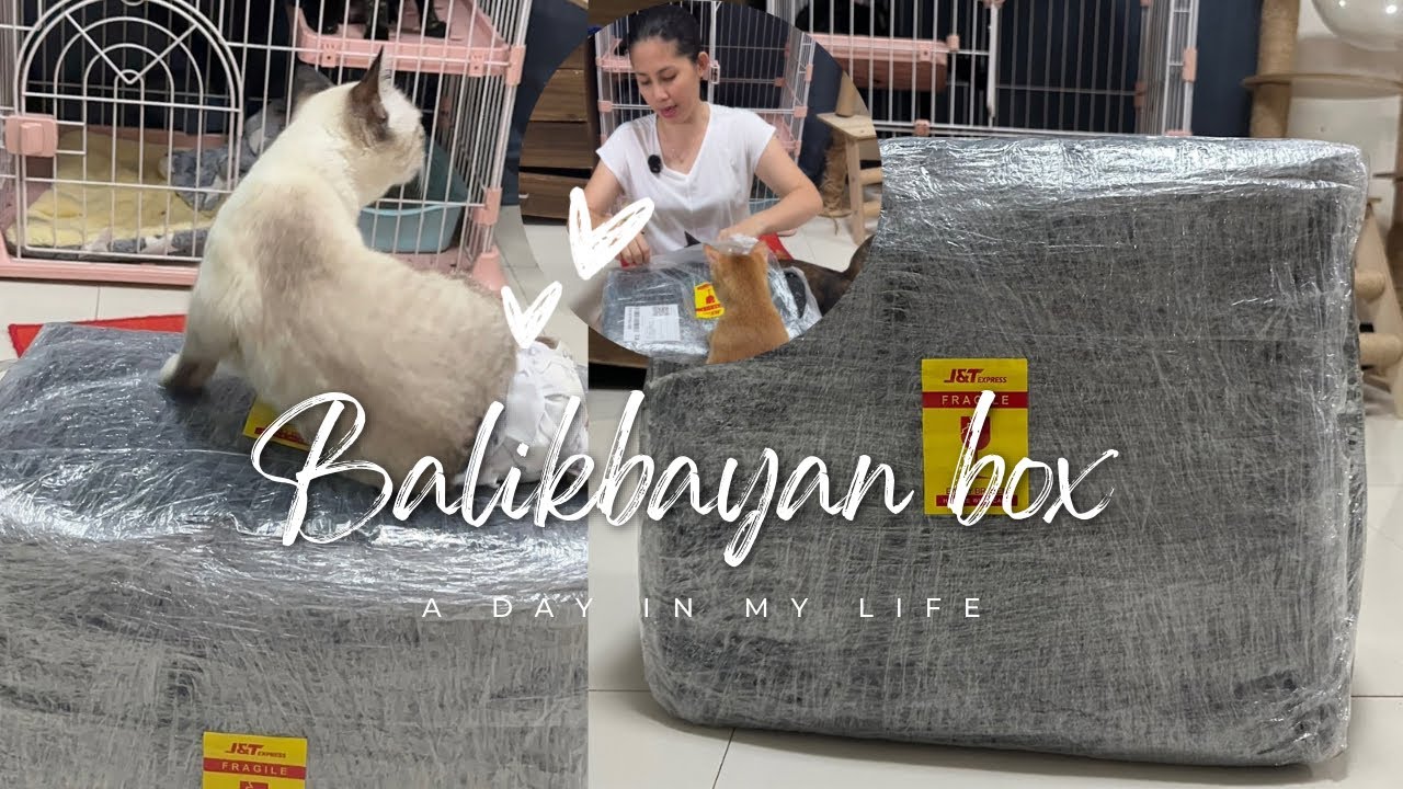 FUR MOM LIFE UPDATE 🇵🇭 | NAKATANGGAP SI MOMA NG BALIKBAYAN BOX ❤️