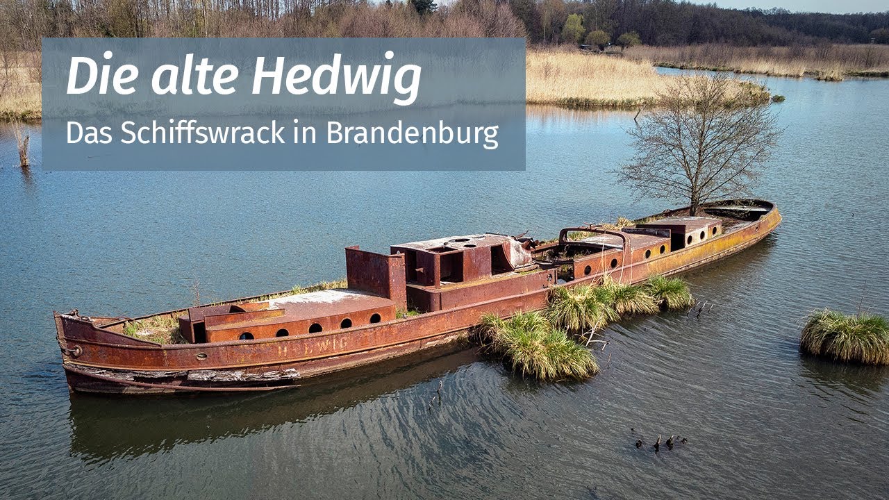Die alte Hedwig | Das Schiffswrack in Brandenburg | DJI Mini2 4K