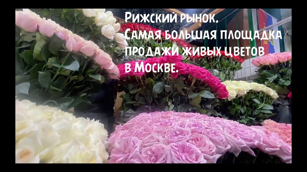 Рижский рынок. Самая большая площадка продажи цветов в Москве. Апрель 2023 г.