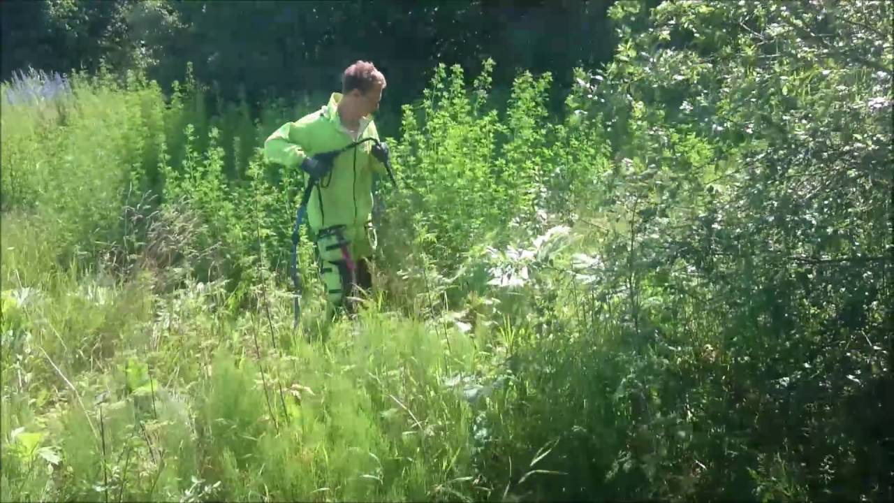 Bek&auml;mpning av j&auml;tteloka med hetvatten