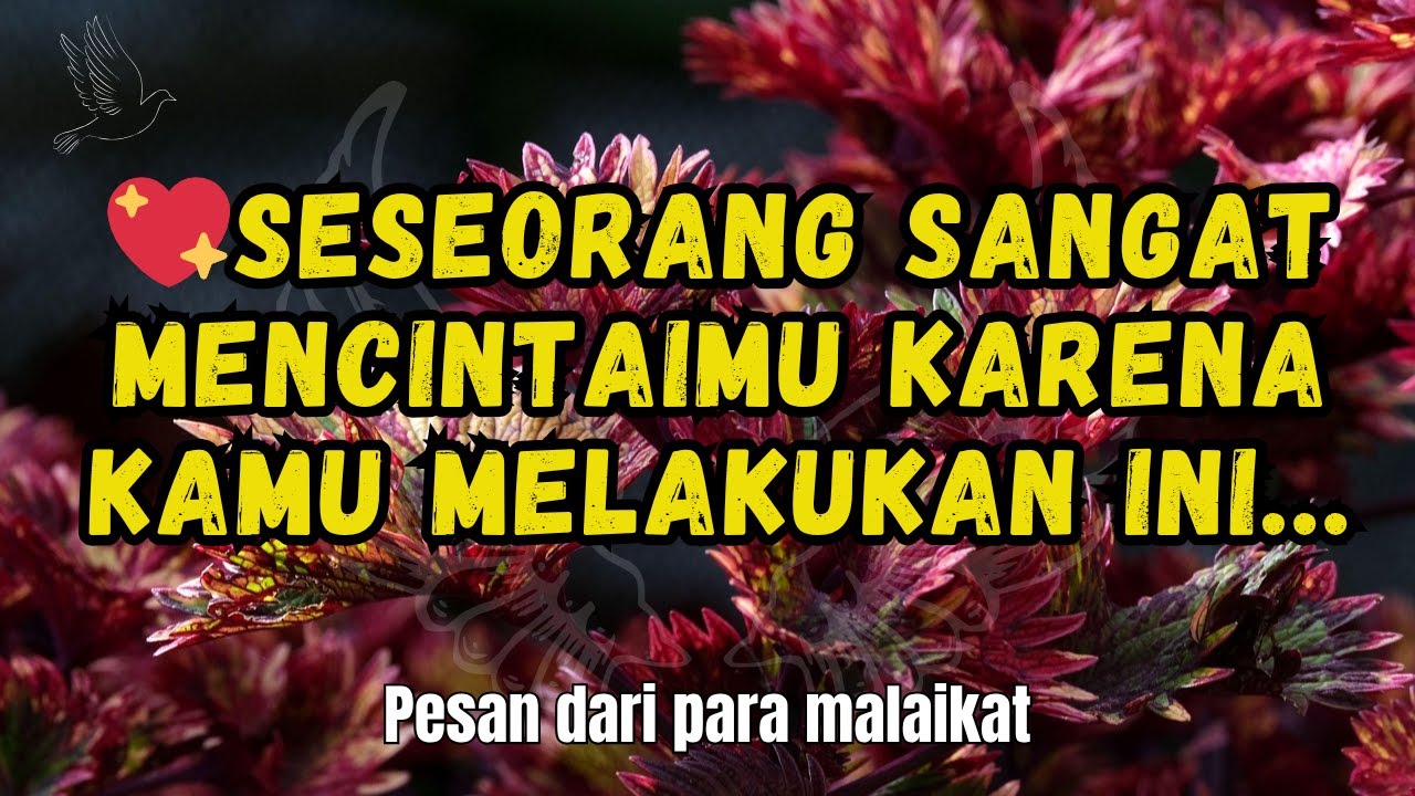 💌😍 Seseorang sangat mencintaimu karena kamu melakukan ini...💖pesan dari para malaikat