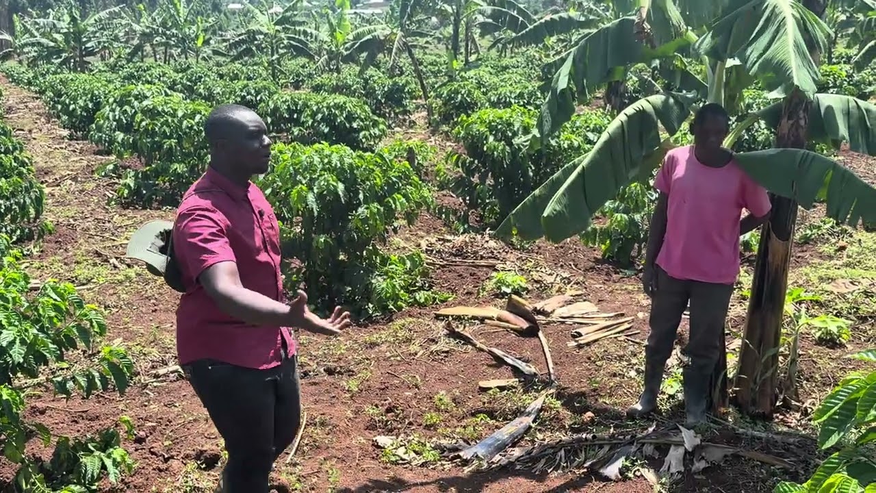 A VISIT AT OUR CLIENT’S FARM GIVING DETAILS 