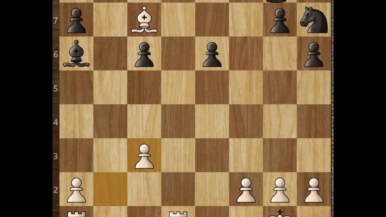 Meci de Sah ( Awesome Chess Game)