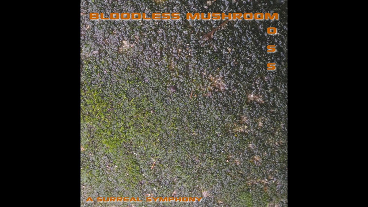 Bloodless Mushroom - Moss - 01 - Ferns