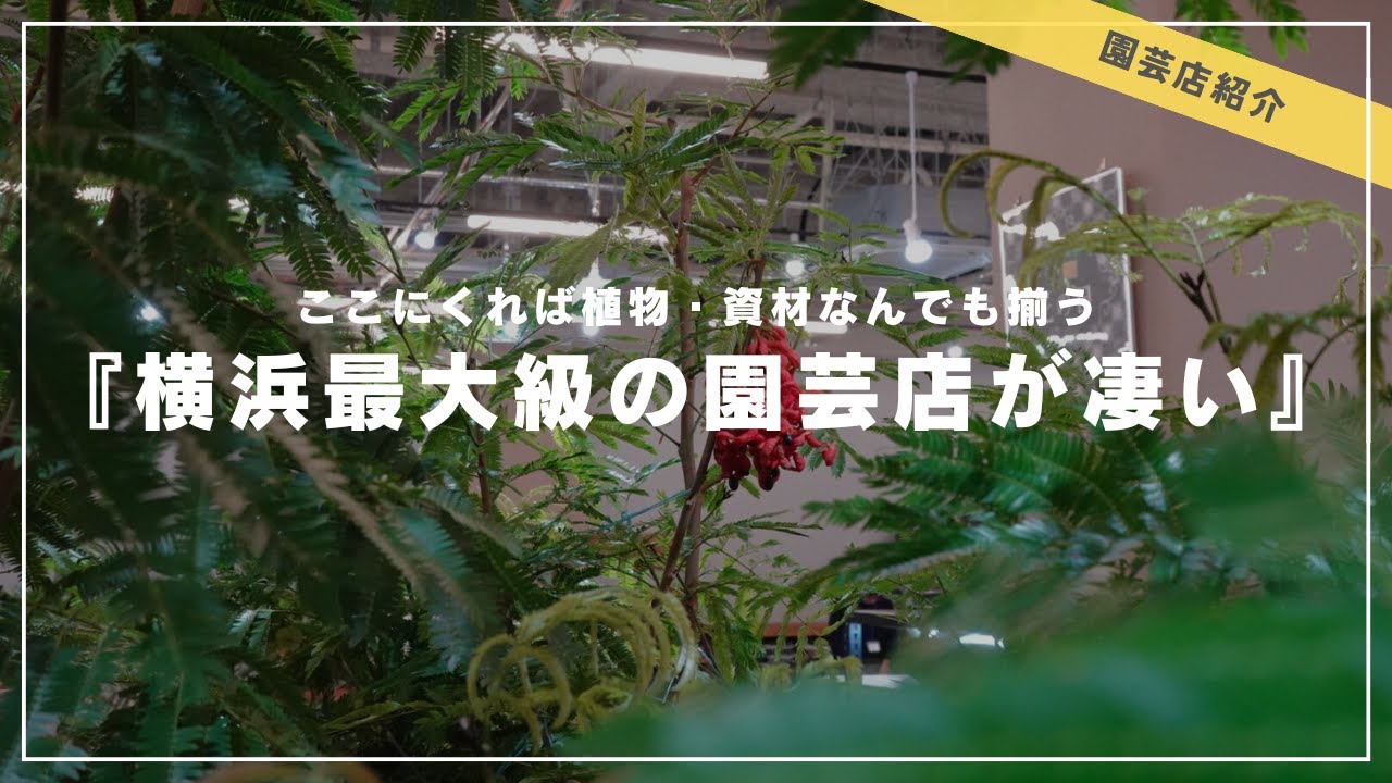 【横浜最大級】７月にオープンした「プロトリーフ ゆめが丘ソラトス店」の品揃えがスゴかった！