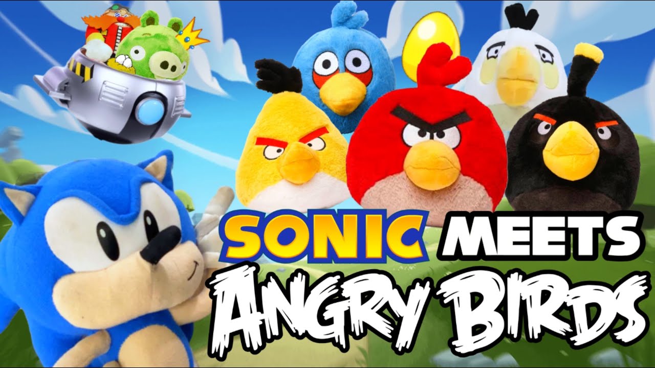 SUPER SONIC BROS: SONIC MEETS ANGRY BIRDS!