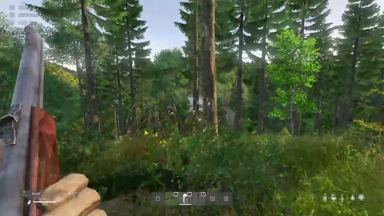 DayZ Wutoh 1