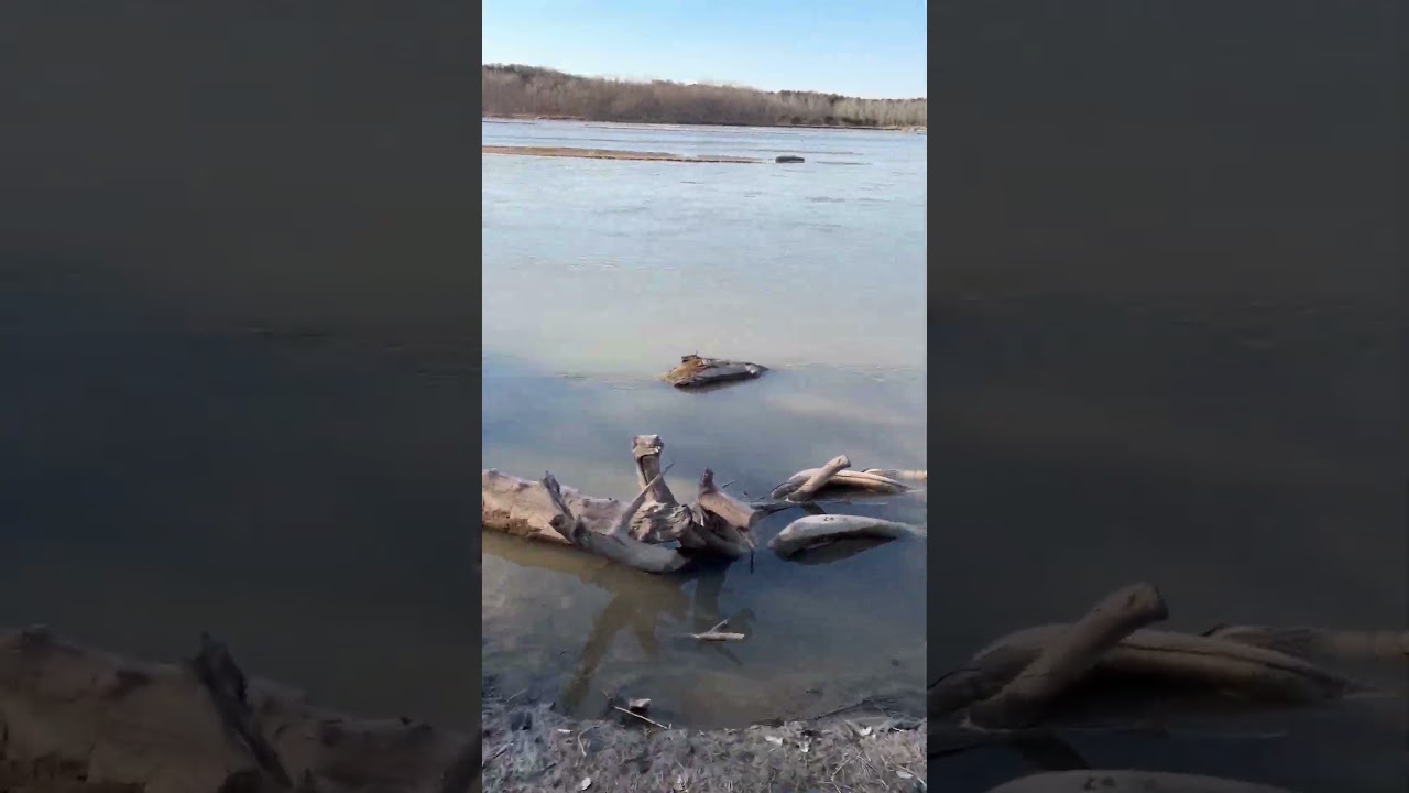 Река Платт во всей своей красе! #boydoutdoors #fishing #river
