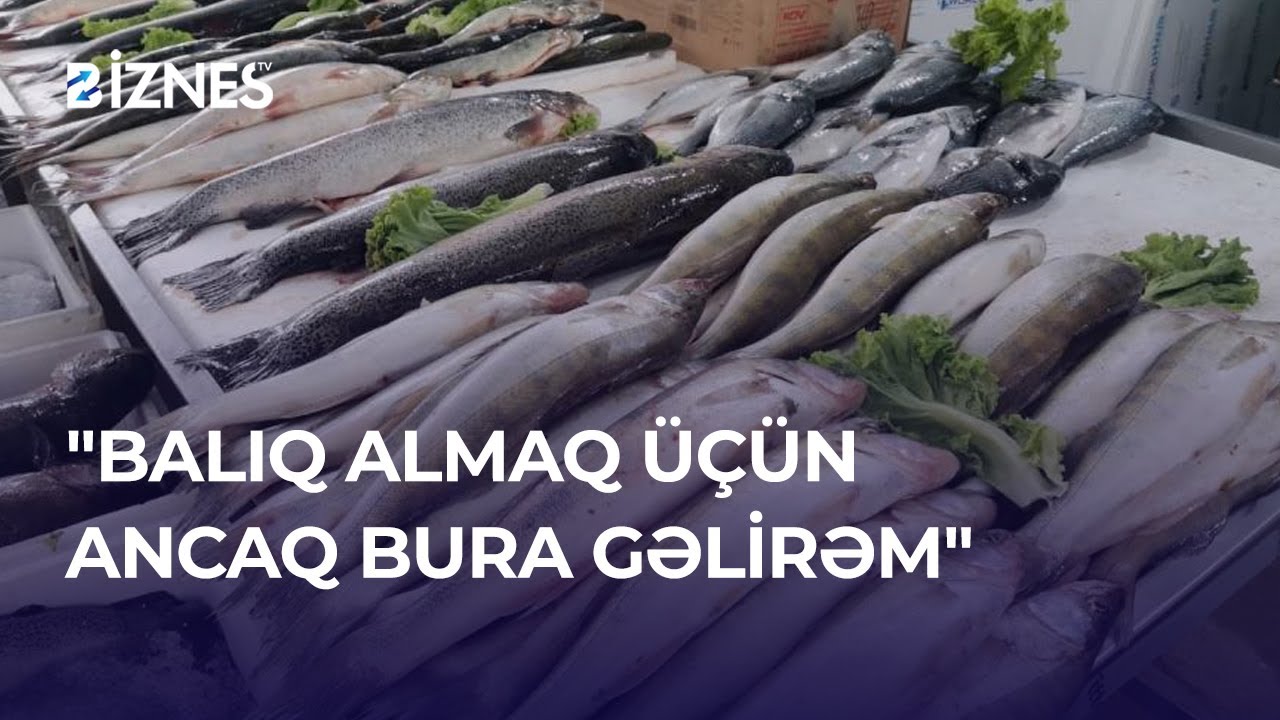 Keşlə bazarında balıq yarmarkası - 30% endirim l Biznes TV