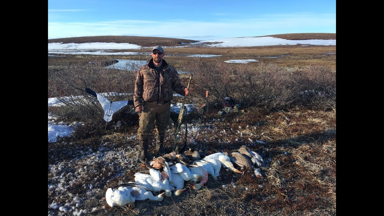 Spring Hunting 2018 - Callahan Super Cub