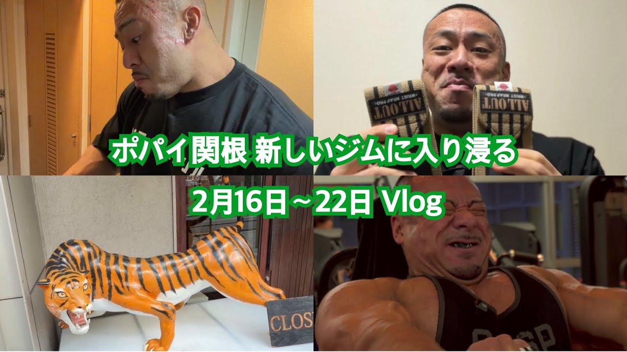 ポパイ関根 新しいメガジムに入り浸る 2月16日〜22日 Vlog