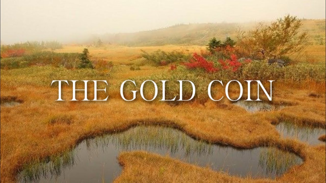 The Gold Coin